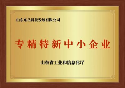 东岳轮胎双誉加冕 以知识产权战略领航“专精特新”与创新之路