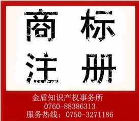 专业护航创新 江门市金盾知识产权事务所服务巡礼